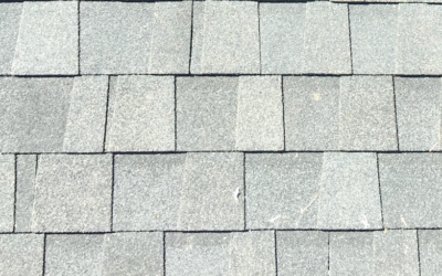 Asphalt Shingles