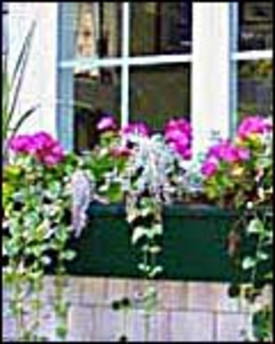 How to Build Window Boxes