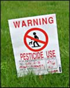 Indoor Air Pollution: Pesticides