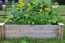 Building and Maintaining Raised Garden Beds
