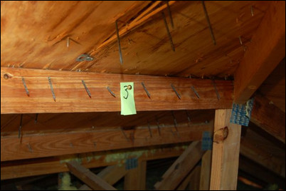 Yikes! ‘Shiners’ in the Attic