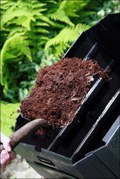 Composting: Good for Garden, Good for the Planet