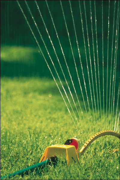 A Guide to Watering Your Lawn and Garden
