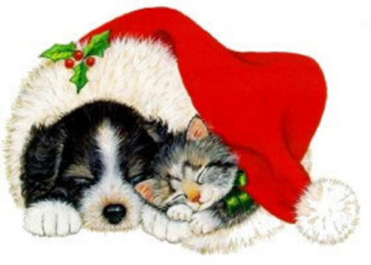 Your Pets are Home for the Holidays