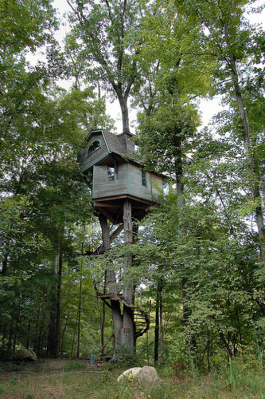 Your Next (Tree) House