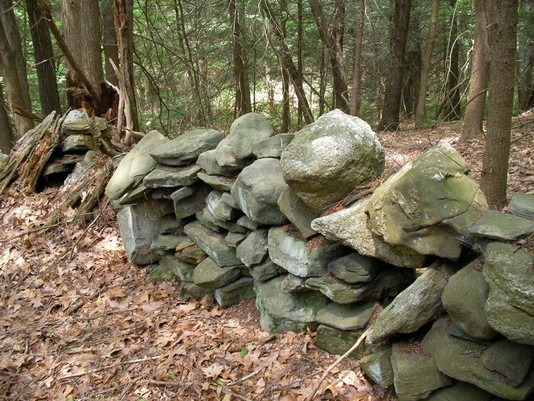 Preserving New England Stone Walls