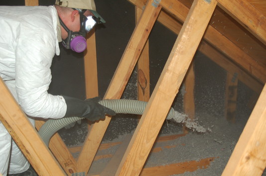 Innovative Insulation Targets Termites, Trash and Tax Credit