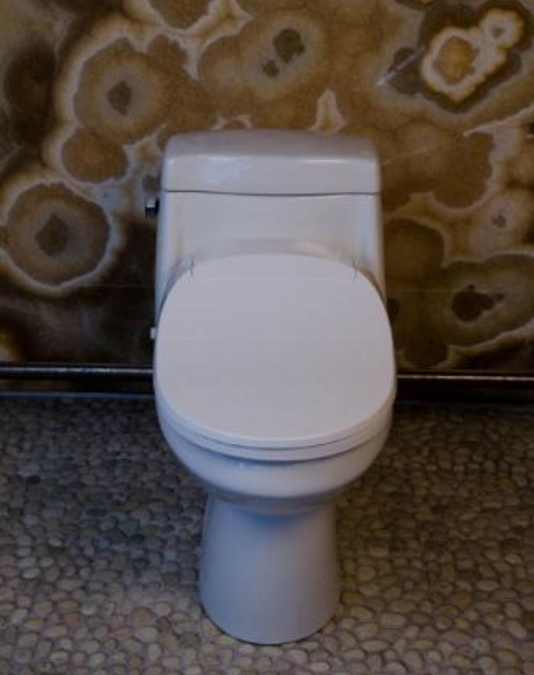 Affordable Hi-Tech Toilet
