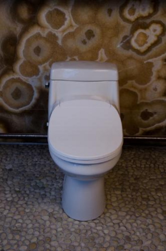 Affordable Hi-Tech Toilet