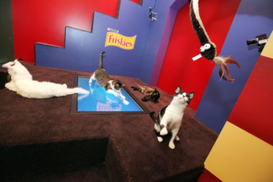 Friskies Funhouse For Cats