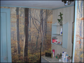 “Who would put a tree mural in a bathroom?” was Shannon Schmidt’s first thought when she saw this wallpaper. Photo courtesy of Mike Schmidt. 