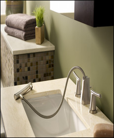 American Standard’s Green Tea bathroom faucet has an Asian-influenced design and a pullout wand spout.