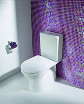 Look for WaterSense-labeled toilets like this dual-flush by Caroma. Photo courtesy of Caroma USA.