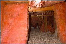 BEFORE. Removing the fallen insulation and installing a vapor barrier liner on the walls and the floor help give this crawl space a clean, finished look. Photo courtesy of the Crawlspace Doctor.