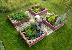 Start a garden -- or four!