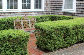Trimmed and trained hedges accentuate a backyard space.