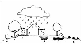 1. Roof runoff water 2. Drain pipes 3. Hot paved area cooled with surface runoff 4. Trees, grass, and shrubs irrigated with surface runoff 5. Overhang to shade windows from sun 6. Shrubs under overhang irrigated with perforated pipe placed on crushed stone for good drainage 7. Trees and shrubs irrigated with perforated pipe on crushed stone 8. Vegetables irrigated with runoff from end of pipe