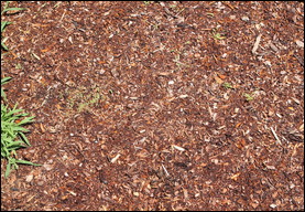Wood chips are an inexpensive but temporary surface material solution.