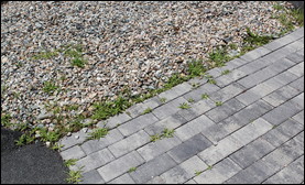 Durable paving material should be set on a bed of leveled builder's sand or stone dust.