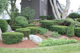 A well-planned planting pocket will add to the use and aesthetic of the outdoor living space. 