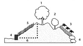 Planting Problems of a Berm 1. Soil on top is dry, so depress center to keep water from running off. 2. Make water holding depressions for planting. 3. Mulch with an erosion-resistant material such as wood chips and plant ground covers. 4. Hold difficult slopes with stone retaining walls or treated wood ties. 5. Grass is difficult to mow on a slope so use only uncut field grass. 6 Use a maximum 2-3 slope.