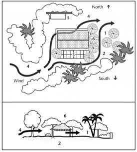Overhead and side views: 1. Outdoor living area on east under trees; 2. Use low growing ground cover, grass, or paving instead of shrubs to retard dampness; 3. Trees and trellis on south side; 4. Prevailing wind directed around and through house for cooling and drying; 5. Hot outdoor patio, paved for winter use; 6. High-headed trees to shade roof, but tall enough to good air circulation underneath. CAUTION: In areas with hurricanes, use lower trees and more trellises near the house.
