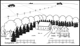 Windbreak on the Plains: North and west sides are protected, south is left open. There are three rows. Shrubs on the outside, deciduous trees next, finally evergreens. Fruit and flowering trees are planted inside where they are protected from the wind.