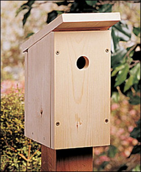 This simple birdhouse is the perfect choice for a first project.